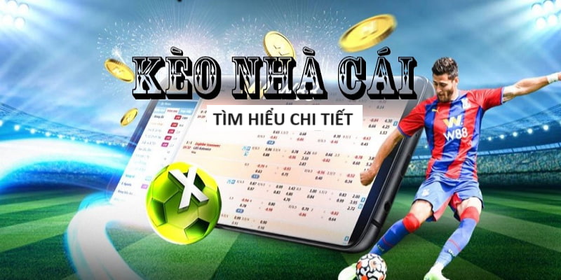 LOTO188 tỷ lệ cá cược bóng đá châu âu LOTO188 tỷ lệ cá cược bóng đá châu âu